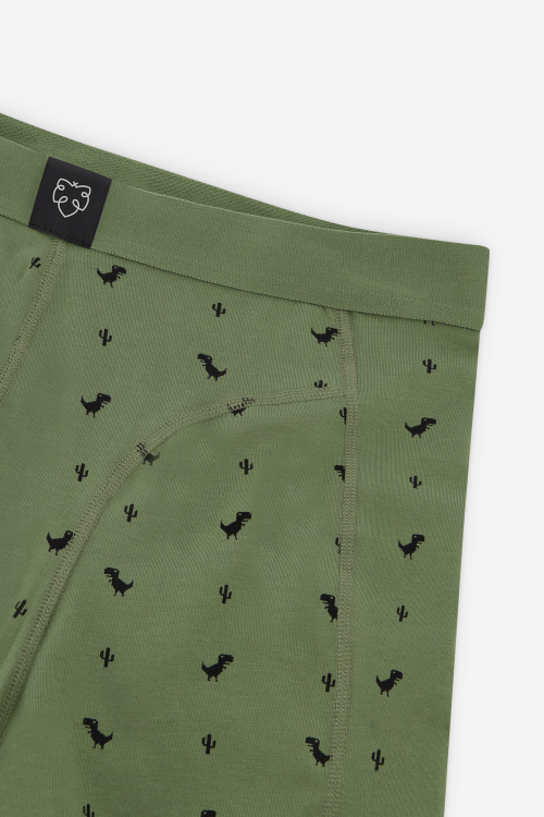 A-dam Boxershorts Dino