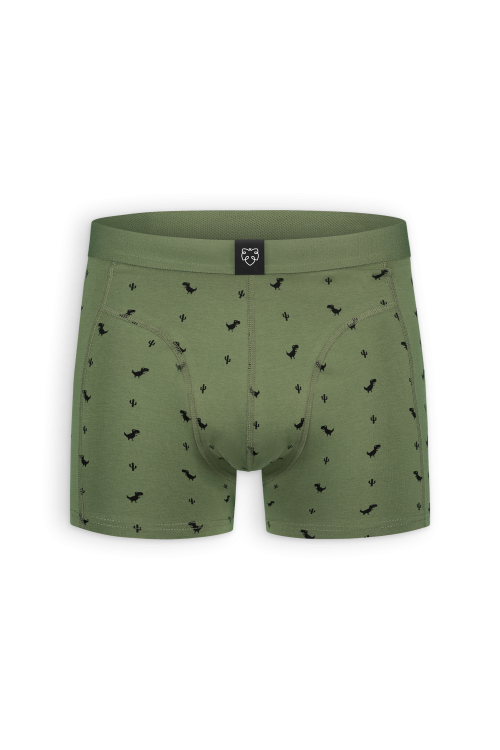 A-dam Boxershorts Dino