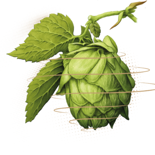 Two Chefs Brewing Fresh Hop Cold IPA